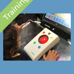 Access Methods: Mouse